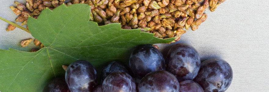 Vīnogu sēklu ekstrakts Grape Seed Extract