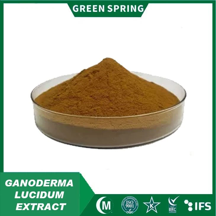 Ganoderma Lucidum ekstrakta pulveris